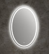 28 Inch Oval Shape Mirror with Backlit LED Strip, Silver