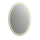 24 Inch Oval Shape Mirror with Backlit LED Strip, Silver