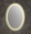 28 Inch Oval Shape Mirror with 4000K LED Strip, Silver