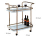 Tiana Contemporary Serving Cart In Champagne Finish By Casagear Home