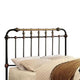 Bed | Full Size | Curved Headboard | Metal | Black Gold FOA-CM7733F