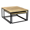 Hollis Nesting Coffee Table Natural Set of Two