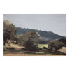 Vast Country Framed Painting MCN-WP-1265-37