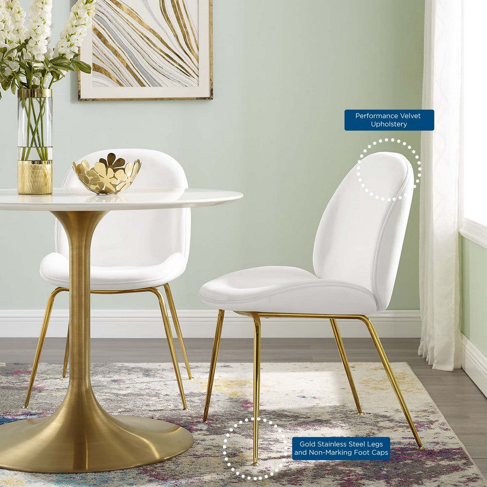 Scoop Gold Stainless Steel Leg Performance Velvet Dining Chair by Modway| White