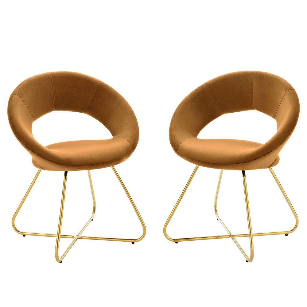 Modway Nouvelle Moday Performance Velvet Dining Chairs in Gold Cognac-Set of 2