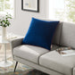 Accentuate 24" Performance Velvet Throw Pillow - No Shipping Charges