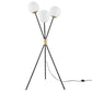 Vera 3-Light Floor Lamp  - No Shipping Charges