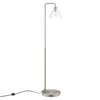 Element Transparent Glass Glass and Metal Floor Lamp  - No Shipping Charges