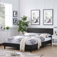 Anya Full Bed, Black - No Shipping Charges