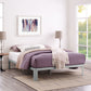 Corinne Queen Bed Frame, Gray  - No Shipping Charges