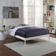 Elsie Queen Bed Frame by Modway| White