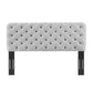Lizzy Tufted Full/Queen Performance Velvet Headboard - No Shipping Charges
