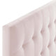 Modway Lily Biscuit Tufted Twin Performance Velvet Headboard Pink MDY-MOD-6118-PNK