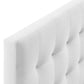 Modway Lily Biscuit Tufted Full Performance Velvet Headboard White MDY-MOD-6119-WHI