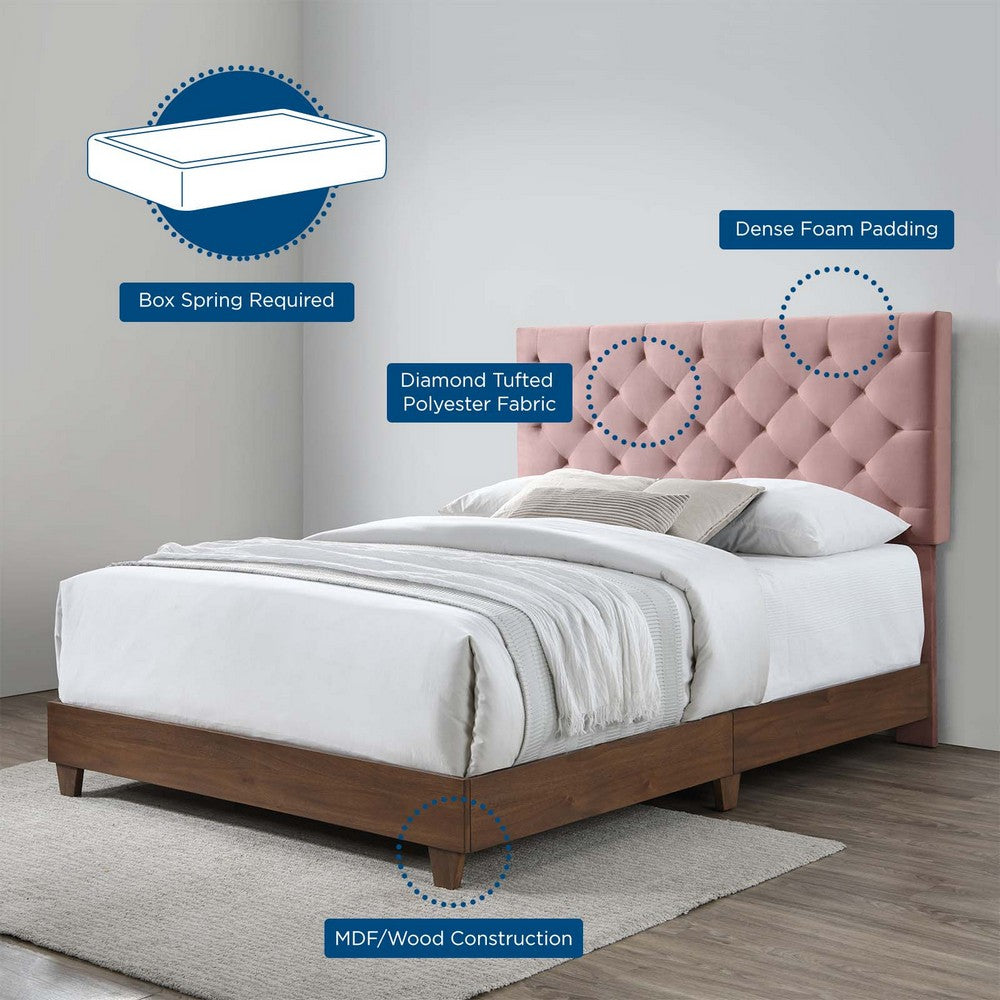 Rhiannon Diamond Tufted Upholstered Performance Velvet Queen Bed by Modway| Red