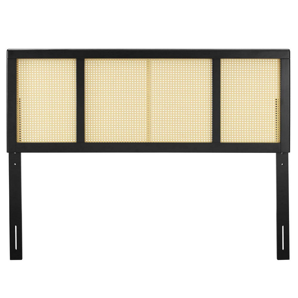 Delmare Cane Full Headboard by Modway| Black