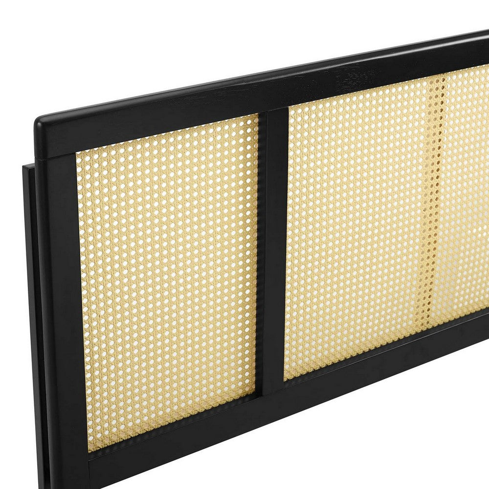 Delmare Cane Full Headboard by Modway| Black