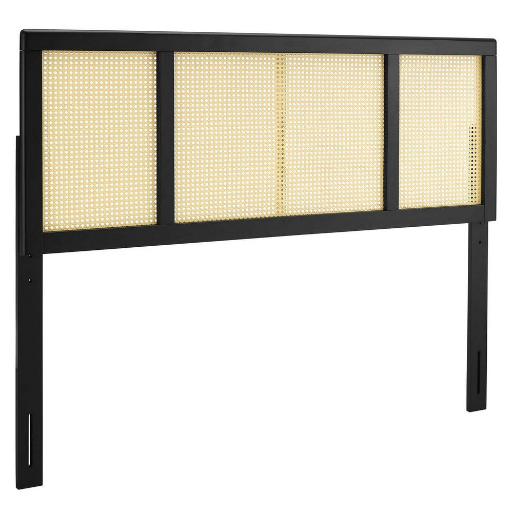 Delmare Cane Full Headboard by Modway| Black