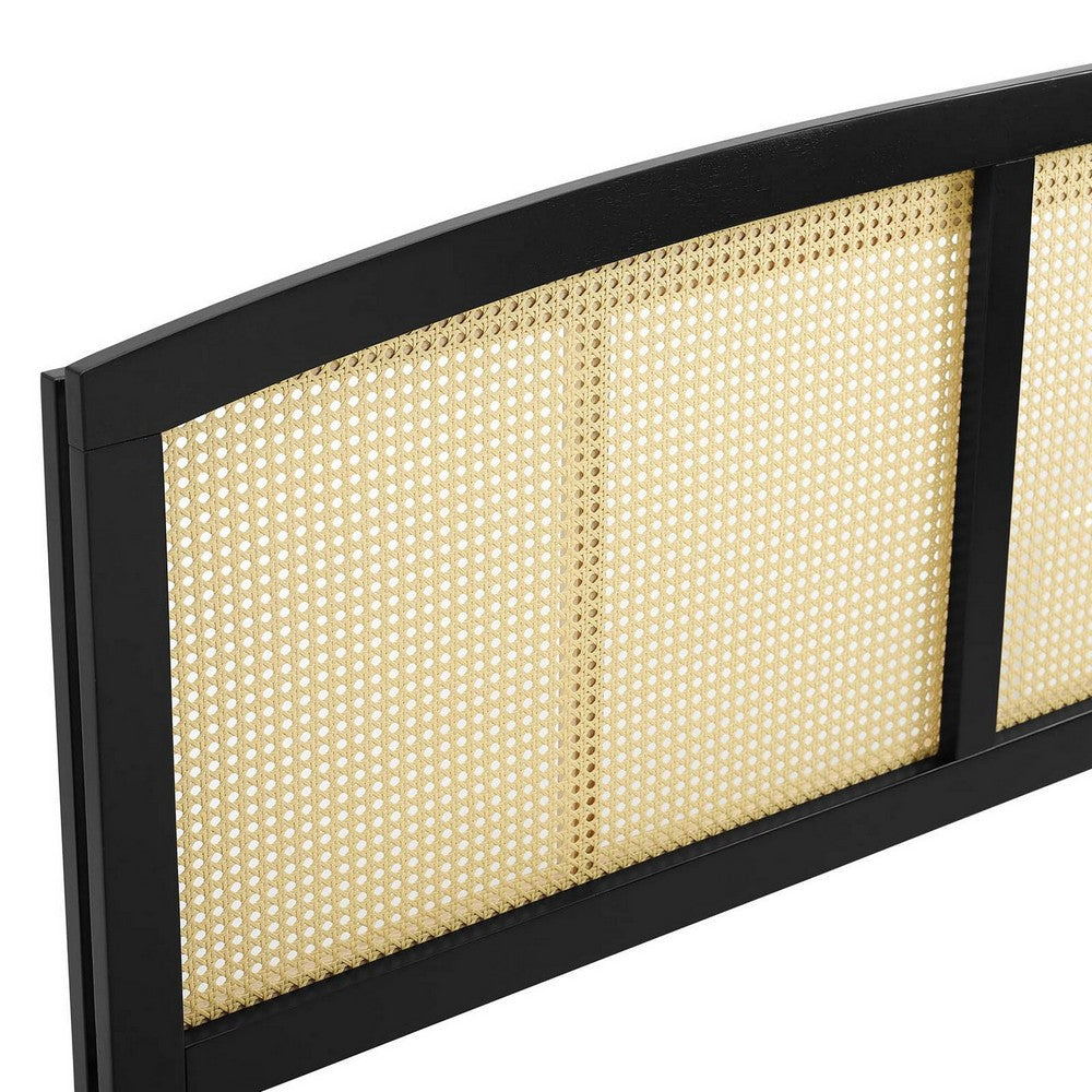 Halcyon Cane Full Headboard by Modway| Black