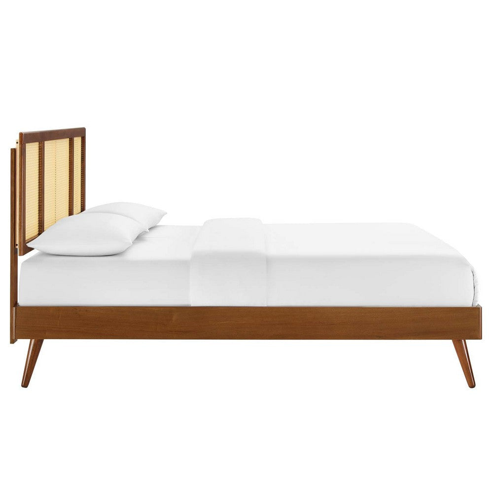 Modway Kelsea Cane and Wood Queen Platform Bed with Splayed Legs in Walnut MDY-MOD-6373-WAL