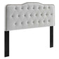 Sophia Tufted Performance Velvet Twin Headboard - No Shipping Charges