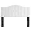 Modway Brielle Channel Tufted Performance Velvet Headboard King/California King White MDY-MOD-6560-WHI