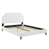 Modway Sienna Performance Velvet Queen Platform Bed in White MDY-MOD-6712-WHI