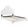 Modway Gwyneth Tufted Performance Velvet Queen Platform Bed in White with Gold Metal Legs MDY-MOD-6751-WHI