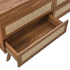 Soma 8-Drawer Dresser by Modway| Brown
