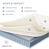 Jenna 12’’ Innerspring and Foam Full Mattress by Modway