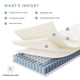 Jenna 6’’ Innerspring and Foam Twin Mattress by Modway
