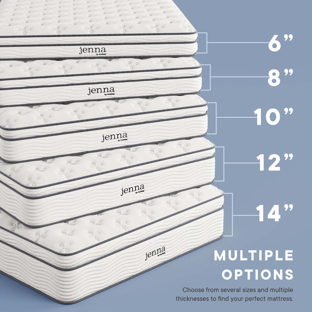 Jenna 6’’ Innerspring and Foam Queen Mattress by Modway