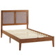 Modway Sirocco Platform Bed Twin Walnut MDY-MOD-7152-WAL