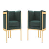 Paramount Forest Green and Polished Brass Velvet Accent Armchair (Set of 2)