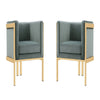 Paramount Warm Grey and Polished Brass Velvet Accent Armchair (Set of 2)