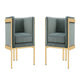 Paramount Warm Grey and Polished Brass Velvet Accent Armchair (Set of 2)