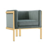 Paramount Warm Grey and Polished Brass Velvet Accent Armchair (Set of 2) MHC-2-AC053-GY