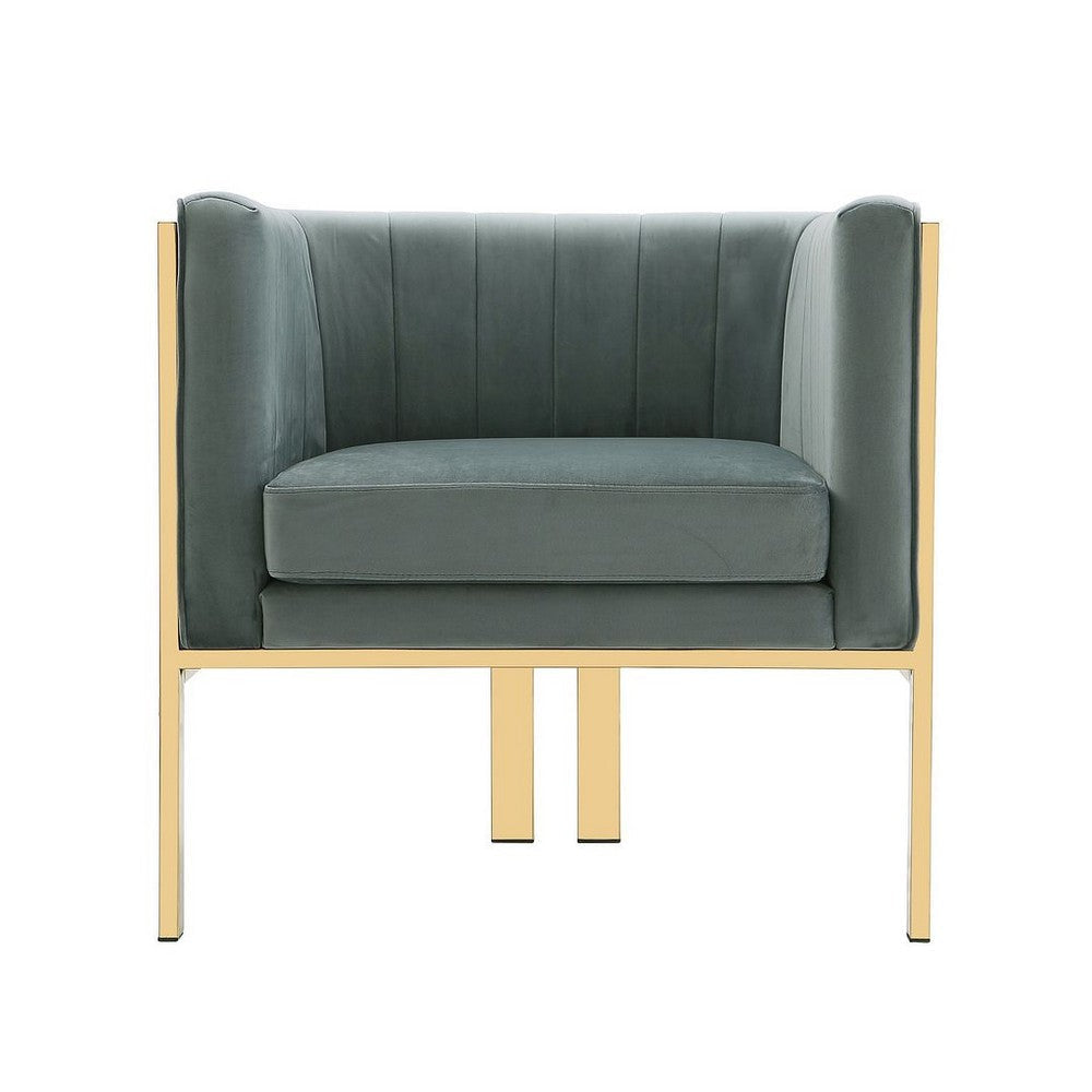 Paramount Warm Grey and Polished Brass Velvet Accent Armchair (Set of 2) MHC-2-AC053-GY