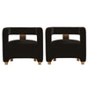 Modern Amirah Velvet  Accent Chair in Black - Set of 2