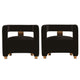 Modern Amirah Velvet  Accent Chair in Black - Set of 2