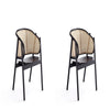 Versailles Armchair in Black and Natural Cane - Set of 2