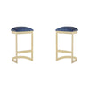 Aura 28.54 in. Blue and Polished Brass Stainless Steel Bar Stool (Set of 2)