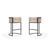 Cosmopolitan 37.8 in. Cream and Black Metal Barstool (Set of 2)
