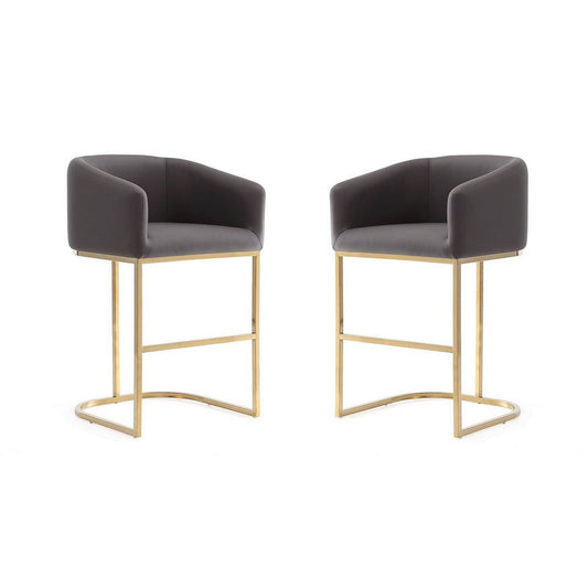 Louvre 36 in. Grey and Titanium Gold Stainless Steel Counter Height Bar Stool (Set of 2)