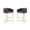 Louvre 36 in. Grey and Titanium Gold Stainless Steel Counter Height Bar Stool (Set of 2)