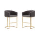 Louvre 36 in. Grey and Titanium Gold Stainless Steel Counter Height Bar Stool (Set of 2)