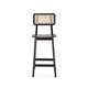 Versailles Counter Stool in Black and Natural Cane - Set of 2 MHC-2-CSCA01-BK