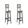 Versailles Counter Stool in Black and Natural Cane - Set of 2