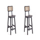 Versailles Counter Stool in Black and Natural Cane - Set of 2
