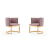 Aura Blush and Polished Brass Velvet Dining Chair (Set of 2)